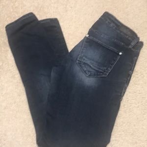 Daytrip dark wash Aries skinny jeans